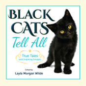 black cats book